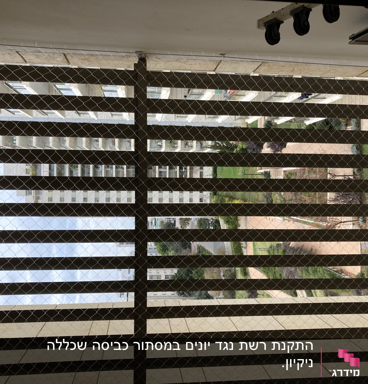 רשת מתוחה על חלון למניעת כניסת יונים